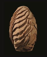 Feathered Egg, 2002